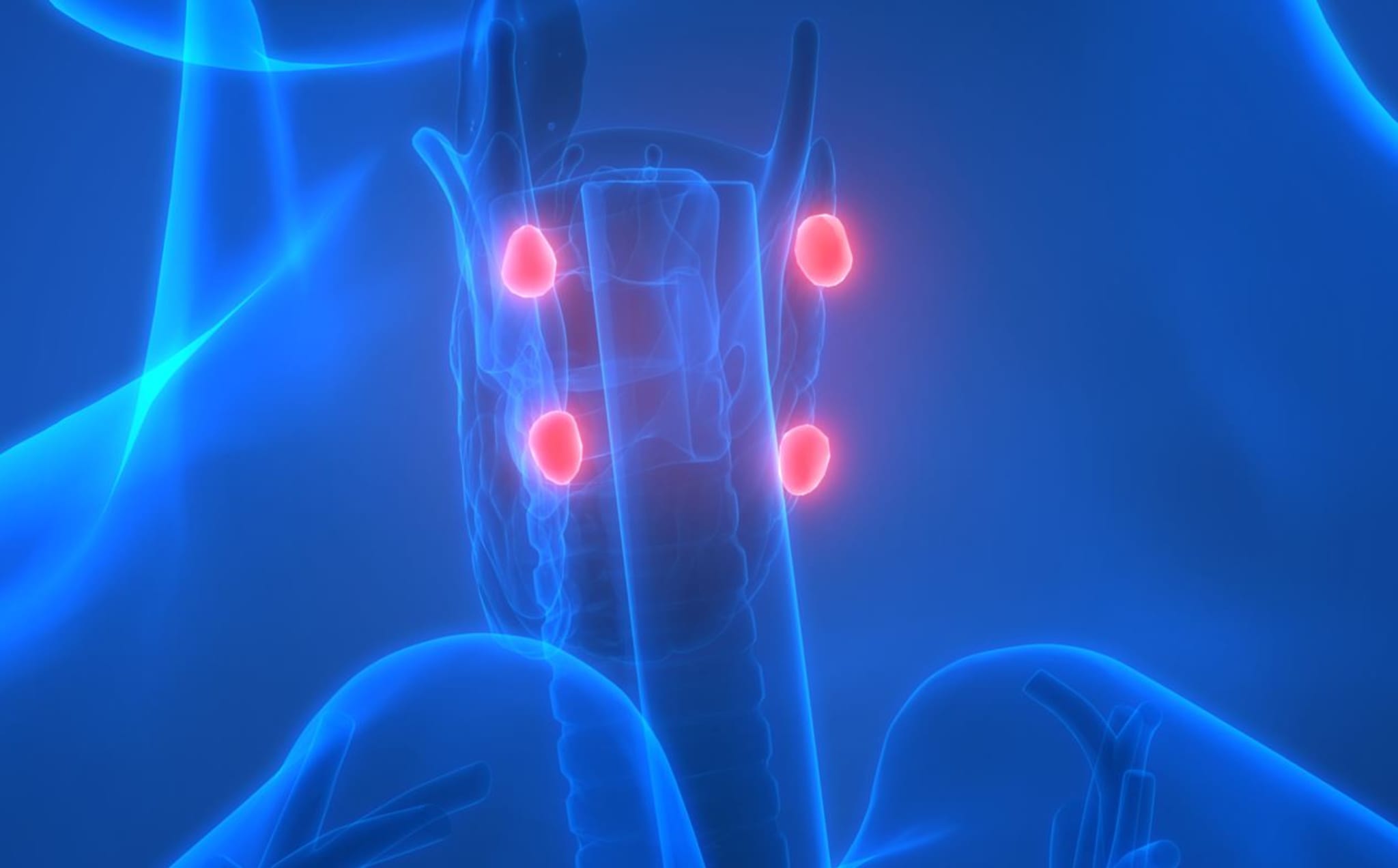 Diagnose und Therapie des primären Hyperparathyreoidismus (pHPT)